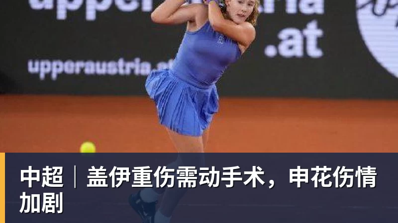 杏彩体育中超｜盖伊重伤需动手术，申花伤情加剧