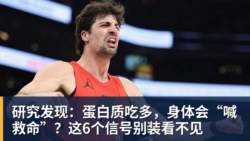 杏彩体育研究发现：蛋白质吃多，身体会“喊救命”？这6个信号别装看不见